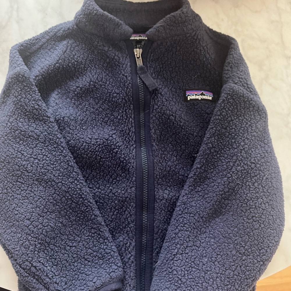 Patagonia Blue Puffer Jacket with High Collar